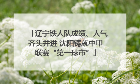 辽宁铁人队成绩、人气齐头并进 沈阳铸就中甲联赛“第一球市”