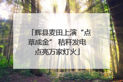 辉县麦田上演“点草成金” 秸秆发电点亮万家灯火