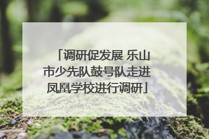 调研促发展 乐山市少先队鼓号队走进凤凰学校进行调研