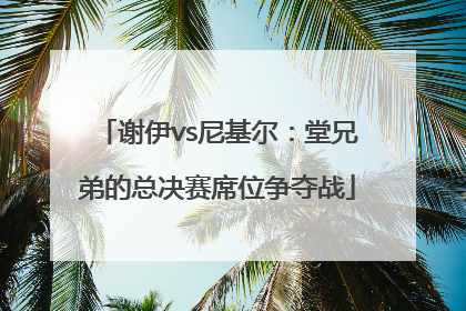 谢伊vs尼基尔：堂兄弟的总决赛席位争夺战
