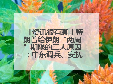 资讯很有聊丨特朗普给伊朗“两周”期限的三大原因：中东调兵、安抚国内、个人习惯