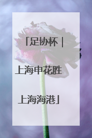 足协杯｜上海申花胜上海海港