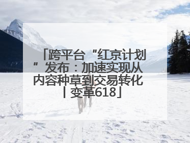 跨平台“红京计划”发布：加速实现从内容种草到交易转化丨变革618