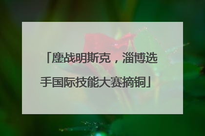 鏖战明斯克，淄博选手国际技能大赛摘铜