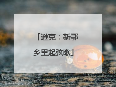 逊克：新鄂乡里起弦歌