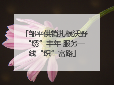 邹平供销扎根沃野“绣”丰年 服务一线“织”富路