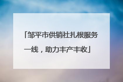 邹平市供销社扎根服务一线，助力丰产丰收