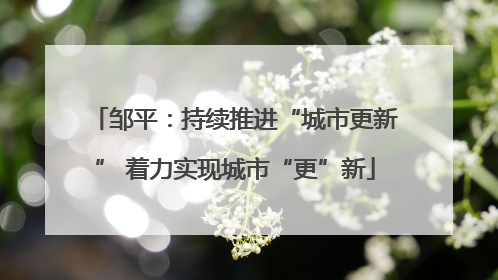 邹平：持续推进“城市更新” 着力实现城市“更”新