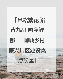 邑路繁花 沿黄九品 画乡鲤都……聊城乡村振兴片区建设亮点纷呈