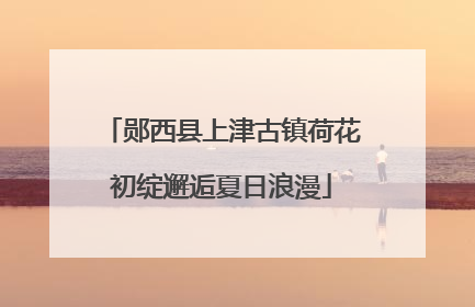 郧西县上津古镇荷花初绽邂逅夏日浪漫