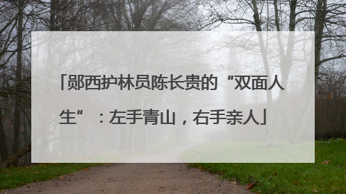 郧西护林员陈长贵的“双面人生”：左手青山，右手亲人