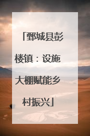 鄄城县彭楼镇：设施大棚赋能乡村振兴