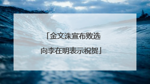 金文洙宣布败选 向李在明表示祝贺