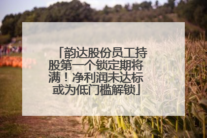 韵达股份员工持股第一个锁定期将满！净利润未达标或为低门槛解锁