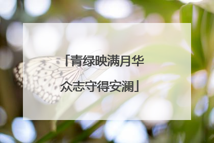 青绿映满月华 众志守得安澜