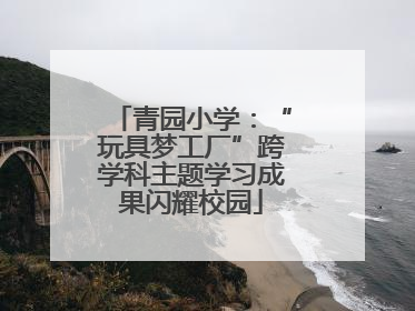 青园小学：“玩具梦工厂”跨学科主题学习成果闪耀校园