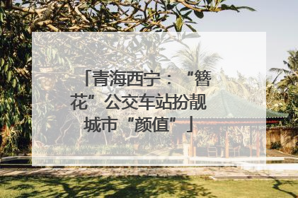 青海西宁：“簪花”公交车站扮靓城市“颜值”