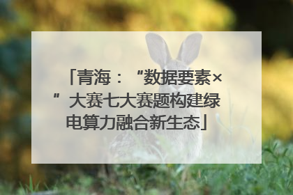 青海：“数据要素×”大赛七大赛题构建绿电算力融合新生态