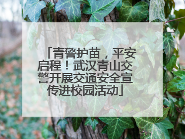青警护苗，平安启程！武汉青山交警开展交通安全宣传进校园活动