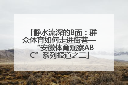 静水流深的B面：群众体育如何走进街巷——“安徽体育观察ABC”系列报道之二