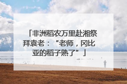 非洲稻农万里赴湘祭拜袁老：“老师，冈比亚的稻子熟了”