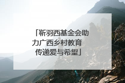 靳羽西基金会助力广西乡村教育 传递爱与希望