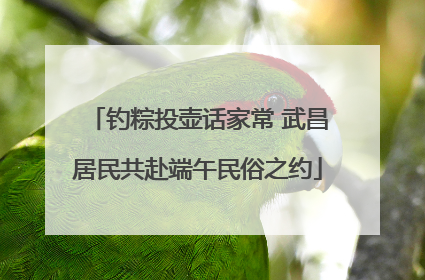 钓粽投壶话家常 武昌居民共赴端午民俗之约