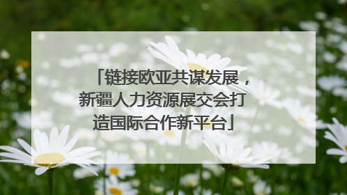 链接欧亚共谋发展，新疆人力资源展交会打造国际合作新平台