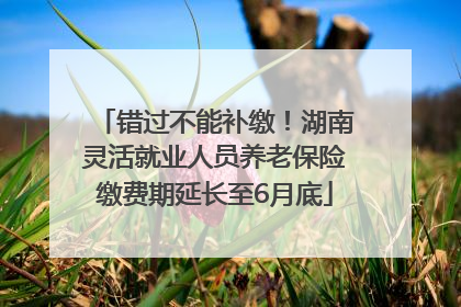 错过不能补缴！湖南灵活就业人员养老保险缴费期延长至6月底