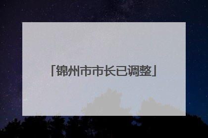 锦州市市长已调整