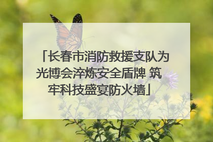 长春市消防救援支队为光博会淬炼安全盾牌 筑牢科技盛宴防火墙