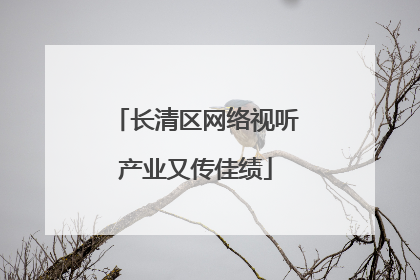 长清区网络视听产业又传佳绩
