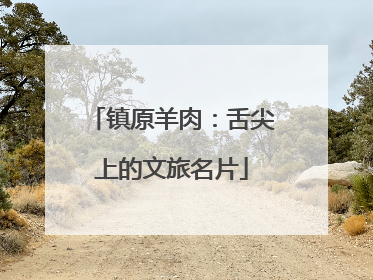 镇原羊肉：舌尖上的文旅名片