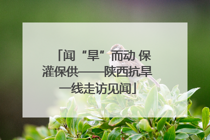 闻“旱”而动 保灌保供——陕西抗旱一线走访见闻