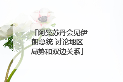 阿曼苏丹会见伊朗总统 讨论地区局势和双边关系