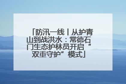 防汛一线丨从护青山到战洪水：常德石门生态护林员开启“双重守护”模式