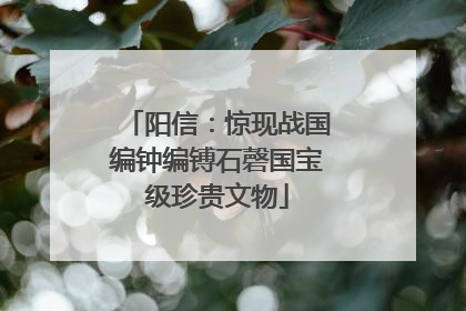 阳信：惊现战国编钟编镈石磬国宝级珍贵文物