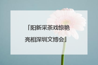 阳新采茶戏惊艳亮相深圳文博会