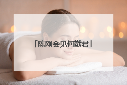 陈刚会见何猷君