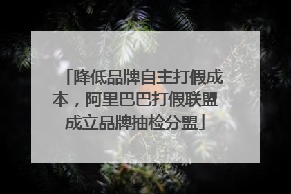 降低品牌自主打假成本，阿里巴巴打假联盟成立品牌抽检分盟