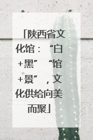 陕西省文化馆：“白+黑”“馆+景”，文化供给向美而聚