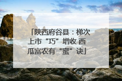 陕西府谷县：梯次上市“巧”增收 西瓜富农有“蜜”诀