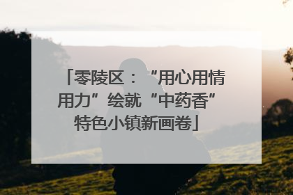 零陵区：“用心用情用力”绘就“中药香”特色小镇新画卷