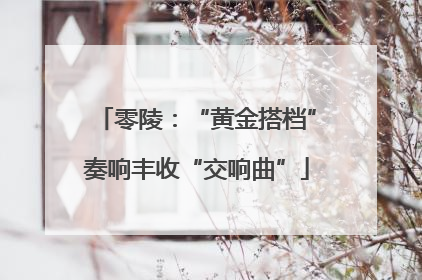 零陵：“黄金搭档”奏响丰收“交响曲”