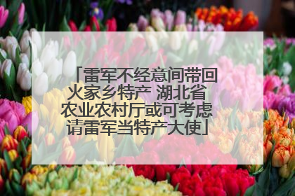 雷军不经意间带回火家乡特产 湖北省农业农村厅或可考虑请雷军当特产大使