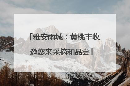 雅安雨城：黄桃丰收 邀您来采摘和品尝