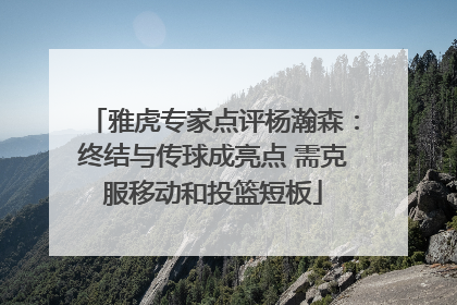 雅虎专家点评杨瀚森：终结与传球成亮点 需克服移动和投篮短板