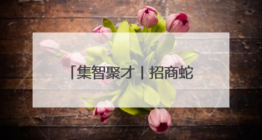 集智聚才丨招商蛇口招商伊敦亮相2025年嘉兴人才日主题活动现场