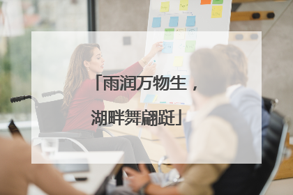 雨润万物生，湖畔舞翩跹