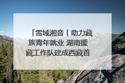 雪域湘音丨助力藏族青年就业 湖南援藏工作队建成西藏首个清洁能源装备园